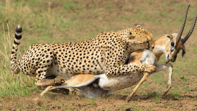 Kenya's Top 20 Adventure Destinations: A Year-Round Must-Visit Traveller's Paradise