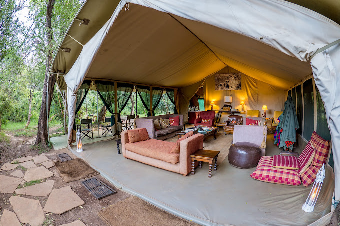 Exploring Porini Eco-Friendly Camps: Why Visit Porini Safari Camps and Cottages in Kenya
